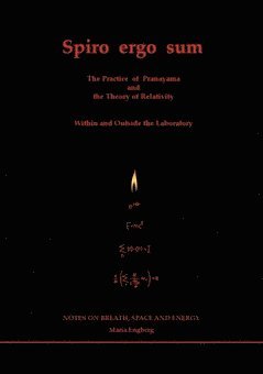 bokomslag Spiro ergo sum : the practice of pranayama - the weaving of space and energy