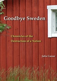 bokomslag Goodbye Sweden : Chronicles of the Destruction of a Nation