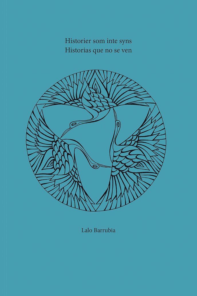 Lalo Barrubia - Historier som inte syns / Historias que no se ven, Häftad