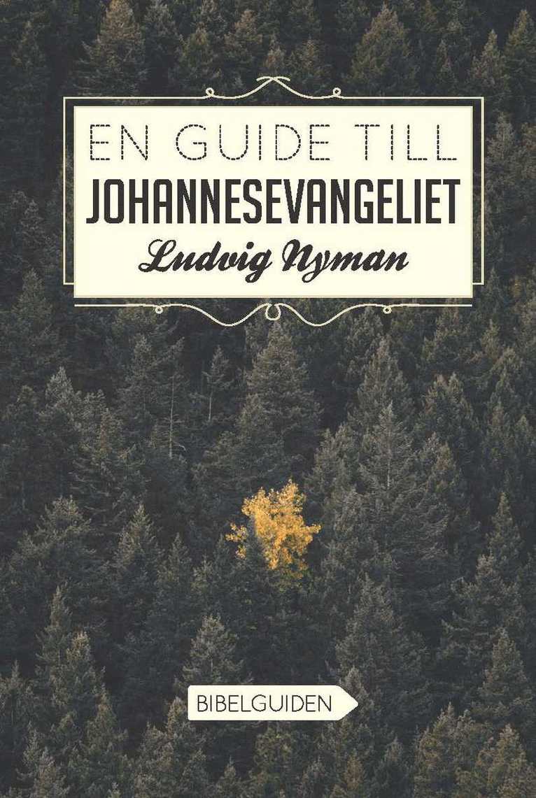 En guide till Johannesevangeliet 1