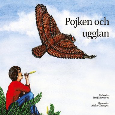 bokomslag Pojken och ugglan