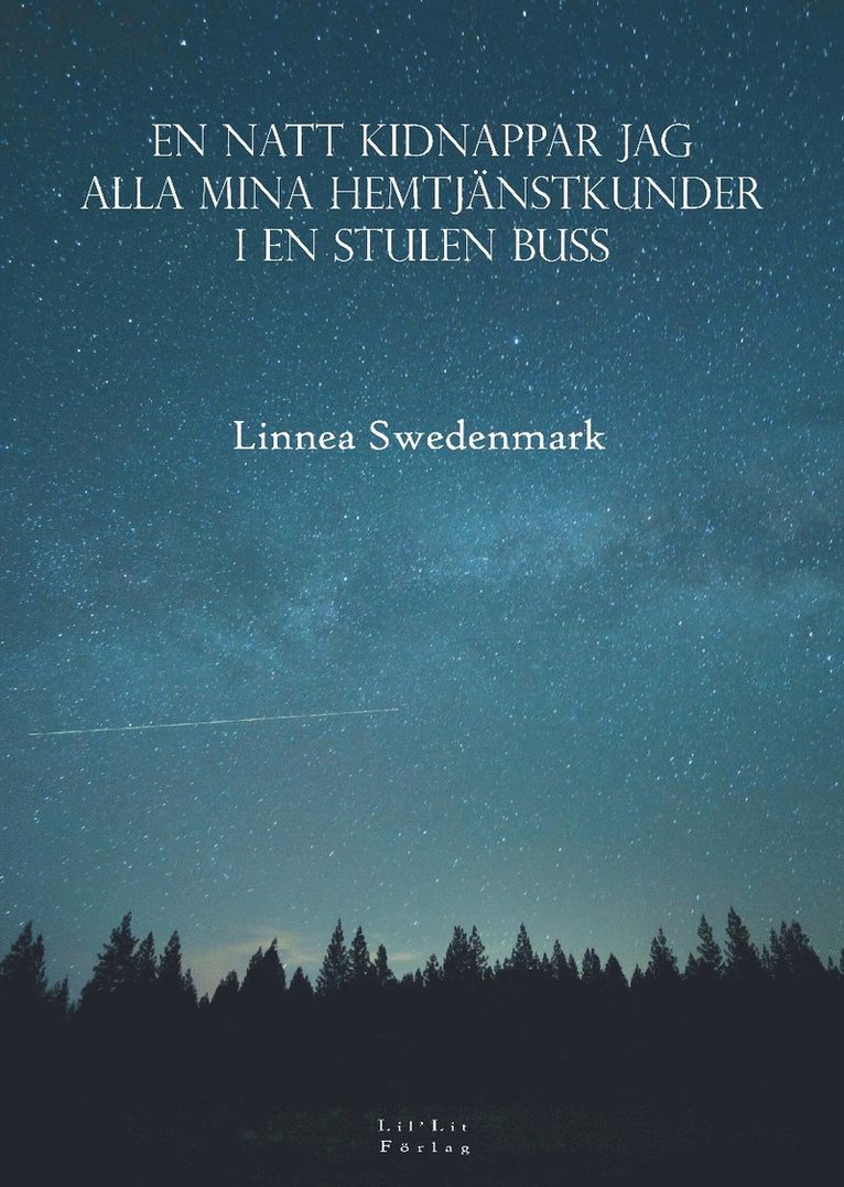En natt kidnappar jag alla mina hemtjänstkunder i en stulen buss