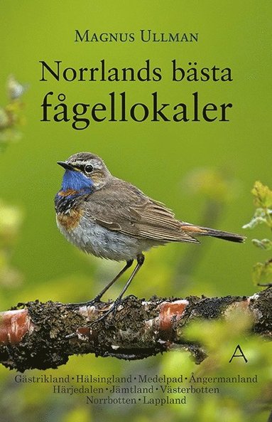 bokomslag Norrlands bästa fågellokaler