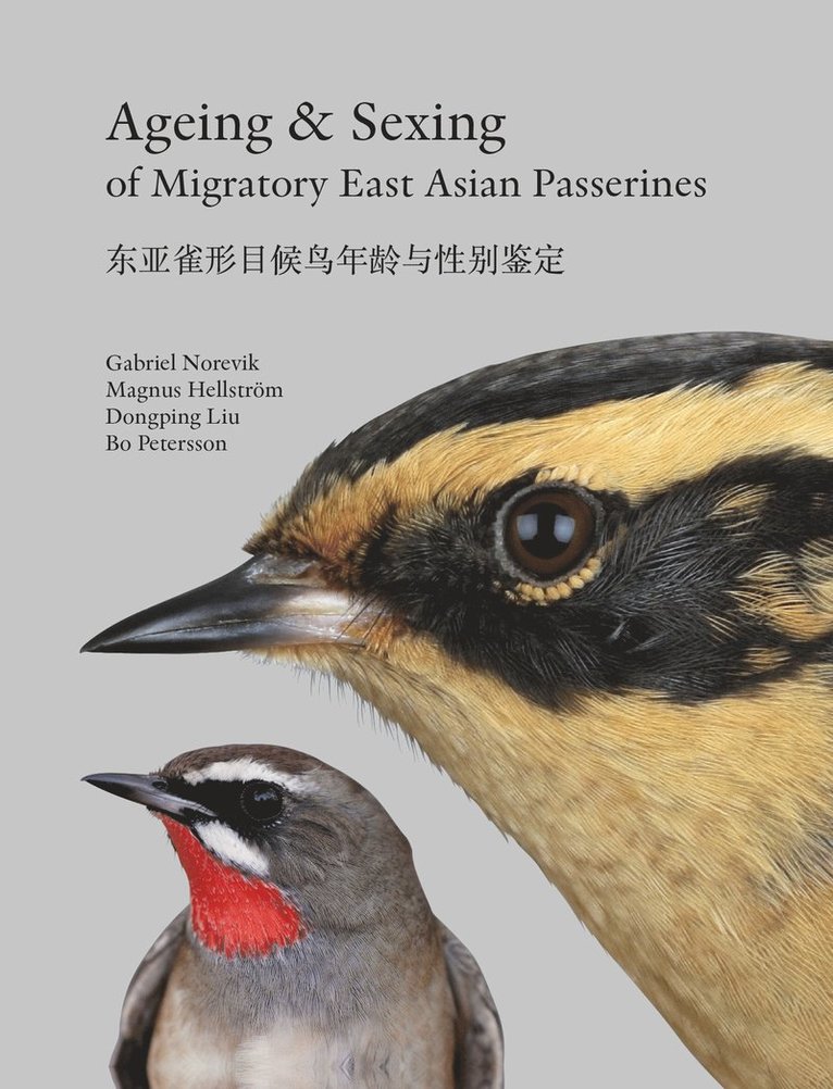 Ageing & sexing of migratory East Asian passerines 1