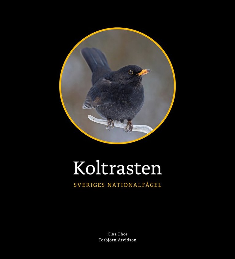 Koltrasten : Sveriges Nationalfågel 1