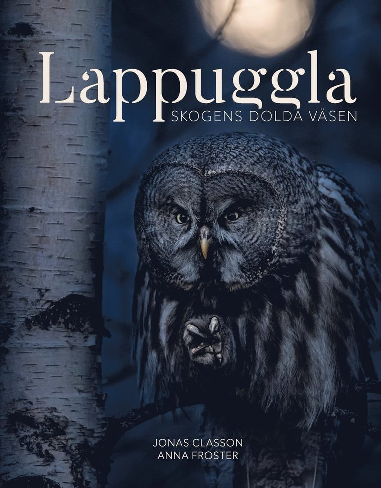 Lappuggla : skogens dolda väsen
