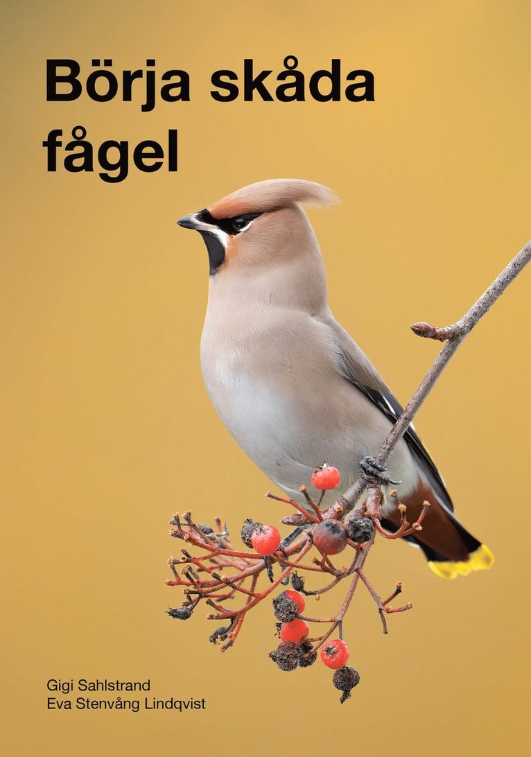 Eva Stenvång Lindqvist, Gigi Sahlstrand - Börja skåda fågel, Häftad