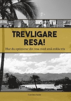 bokomslag Trevligare resa : hur du optimerar din resa med små enkla trix