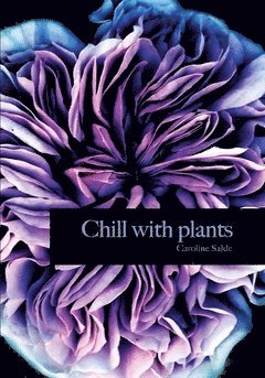Chill with plants 1
