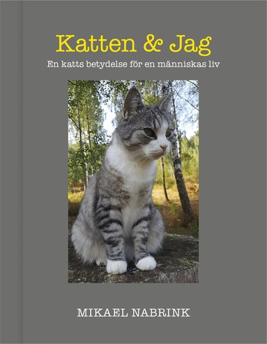 Mikael Nabrink - Katten & jag : en katts betydelse för en människas liv, Inbunden