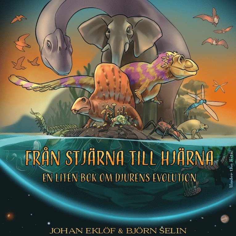 Från stjärna till hjärna : en liten bok om djurens evolution 1