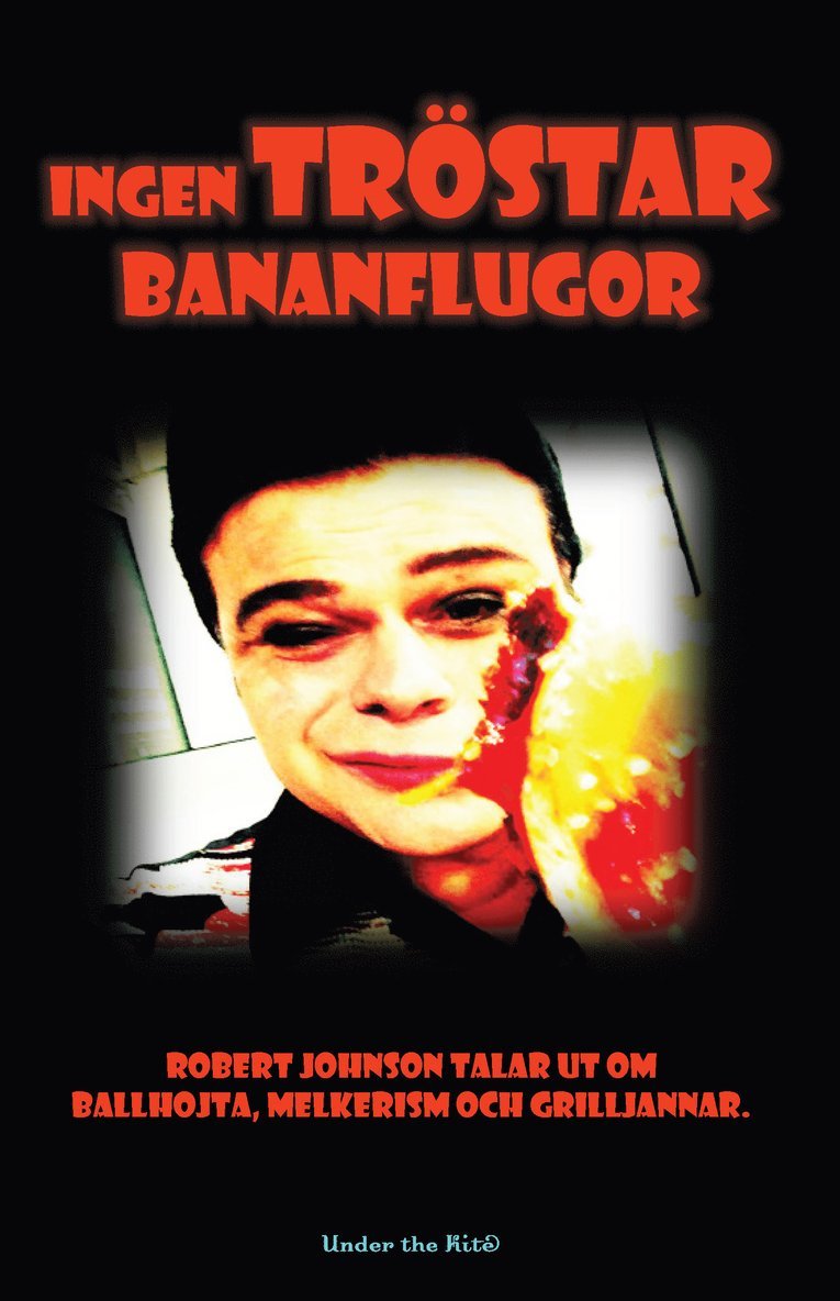 Robert Johnson - Ingen tröstar bananflugor, Häftad