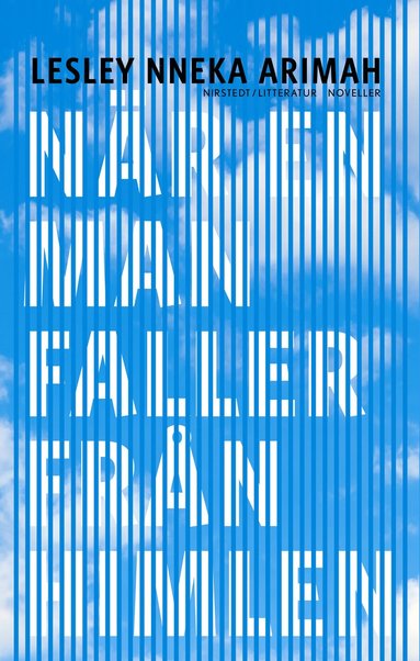 bokomslag När en man faller från himlen