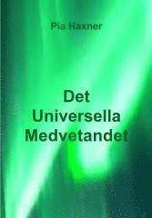 bokomslag Det universella medvetandet