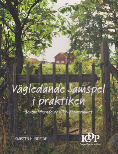 bokomslag Vägledande samspel i praktiken