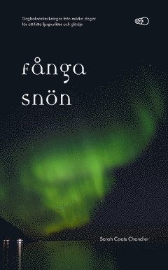 bokomslag Fånga snön : dagboksanteckningar från mörka dagar för att hitta ljuspunkter och glädje