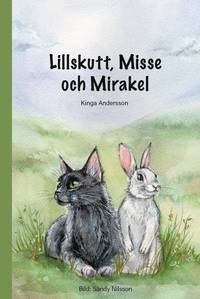 bokomslag Lillskutt, Misse och Mirakel