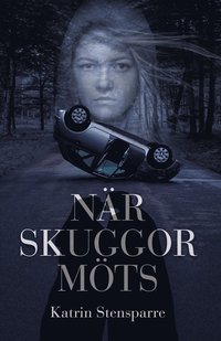 bokomslag När skuggor möts