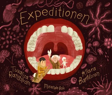 Tuvalisa Rangström, Klara Bartilsson - Expeditionen, Inbunden