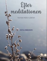 bokomslag Efter meditationen: texter från hjärtat