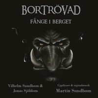 bokomslag Fånge i berget