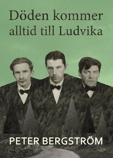Peter Bergström - Döden kommer alltid till Ludvika, Inbunden