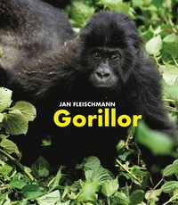 bokomslag Gorillor : en spännande upptäcktsresa i Kongo