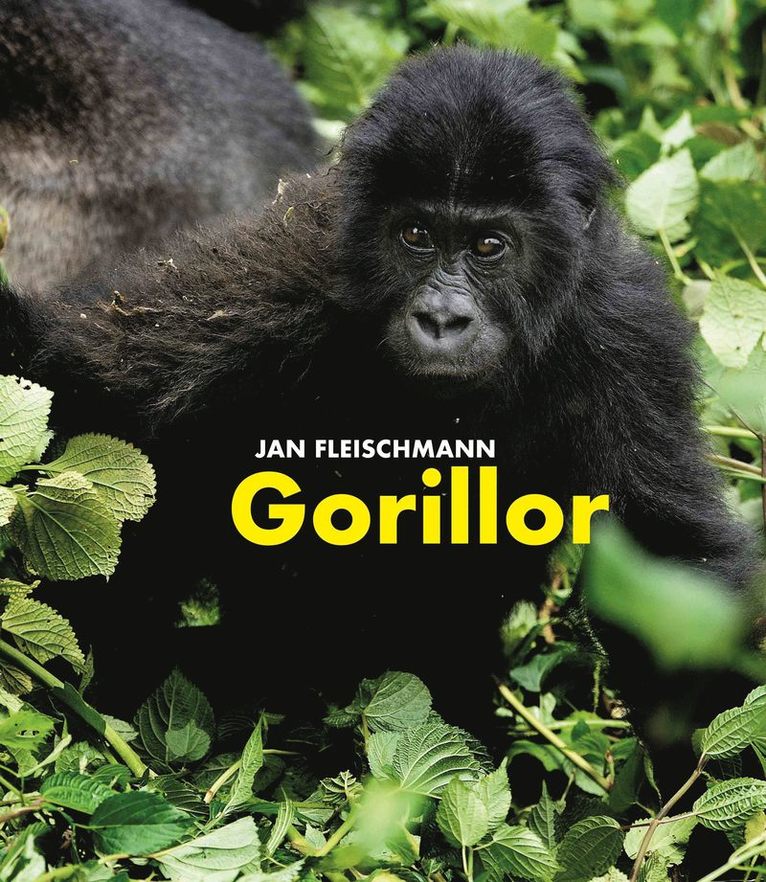 Gorillor : en spännande upptäcktsresa i Kongo 1