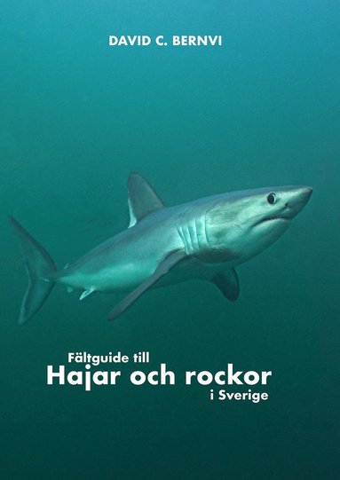 bokomslag Fältguide till hajar och rockor i Sverige
