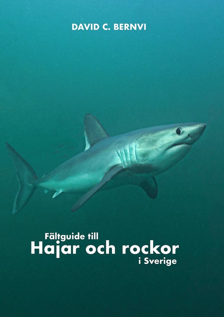 Fältguide till hajar och rockor i Sverige 1