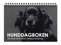 bokomslag Hunddagboken : min hunds aktiviteter, vardag & framsteg