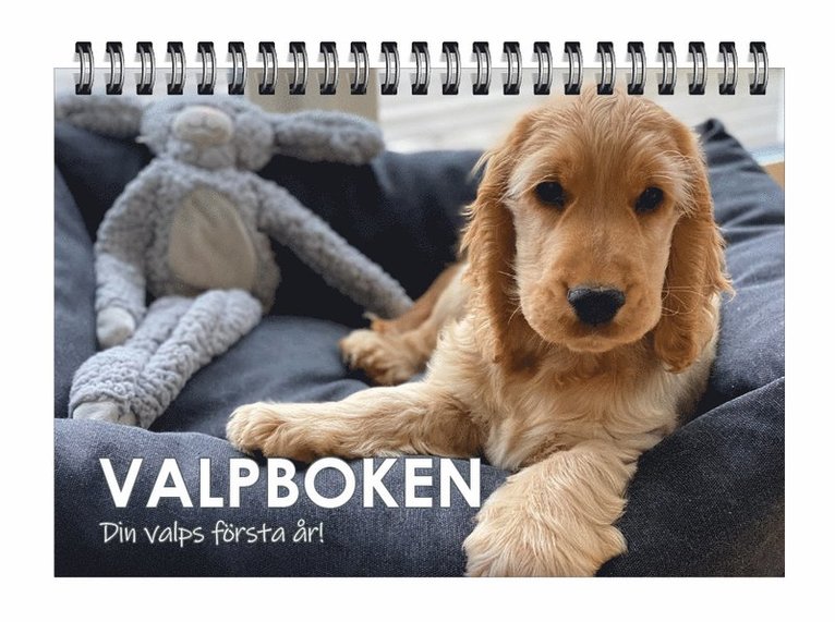 Valpboken : din hunds första år 1