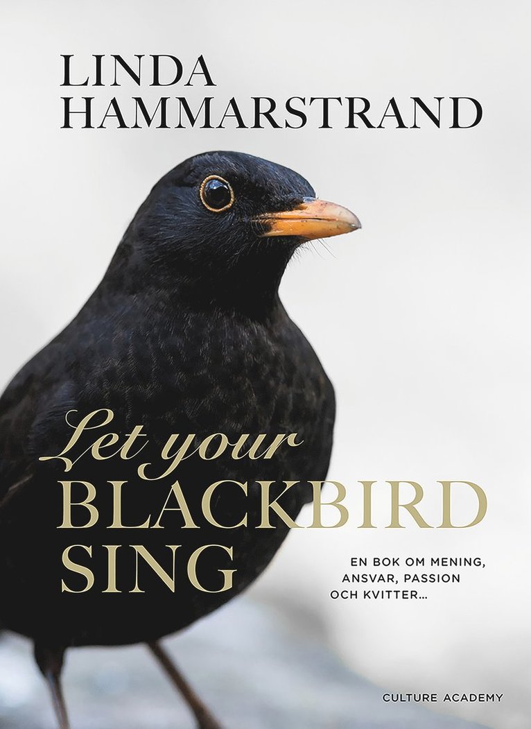 Let your blackbird sing 1