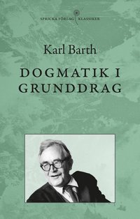 bokomslag Dogmatik i grunddrag