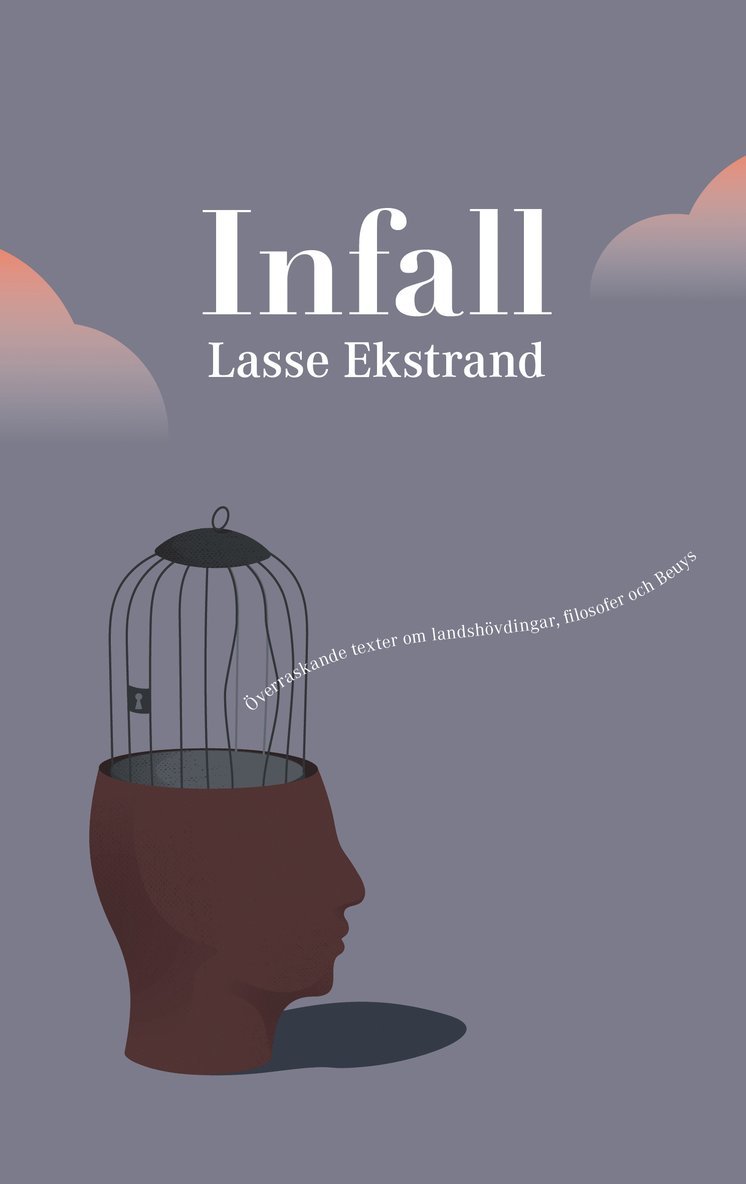 Lasse Ekstrand - Infall : överraskande texter om landshövdingar, filosofer och Beuys, Pocket