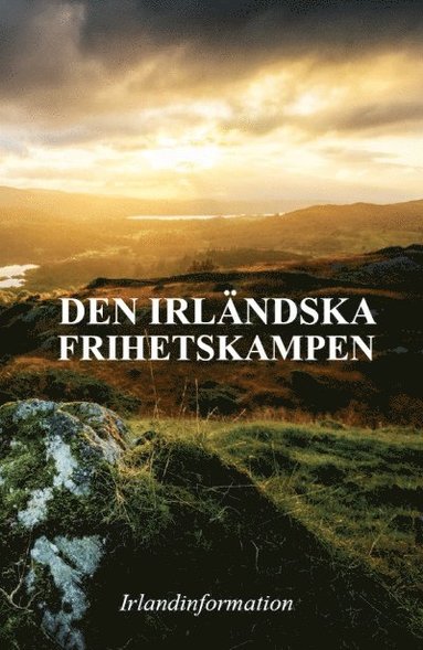 bokomslag Den irländska frihetskampen