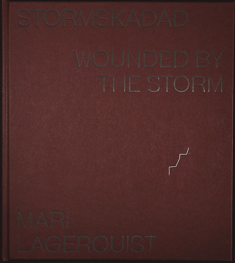 Stormskadad / Wounded by the Storm 1