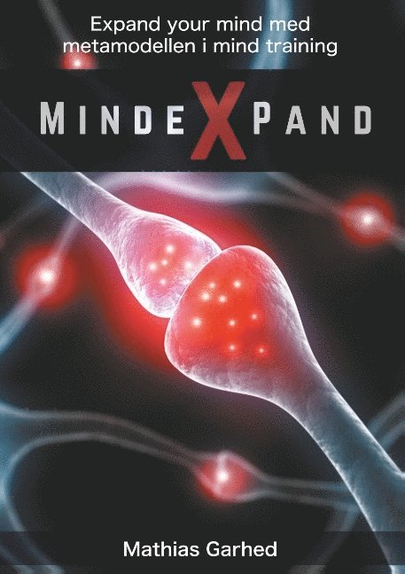 Mindexpand : metamodellen i mind training 1