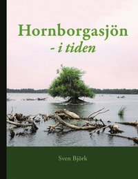 bokomslag Hornborgasjön - i tiden