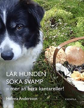 Helena Andersson - Lär hunden söka svamp - mer än bara kantareller!, Häftad