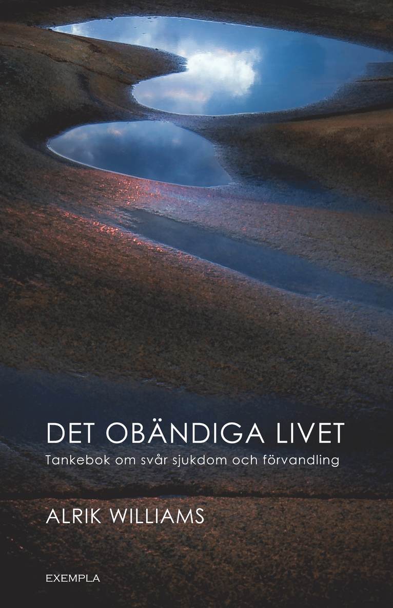 Det obändiga livet. Tankebok om svår sjukdom och förvandling 1