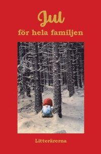 bokomslag Jul för hela familjen