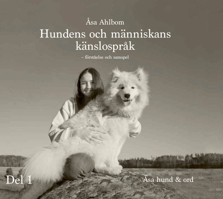 Förståelse och samspel, Inbunden. Tillgänglighet: Lägg i varukorg