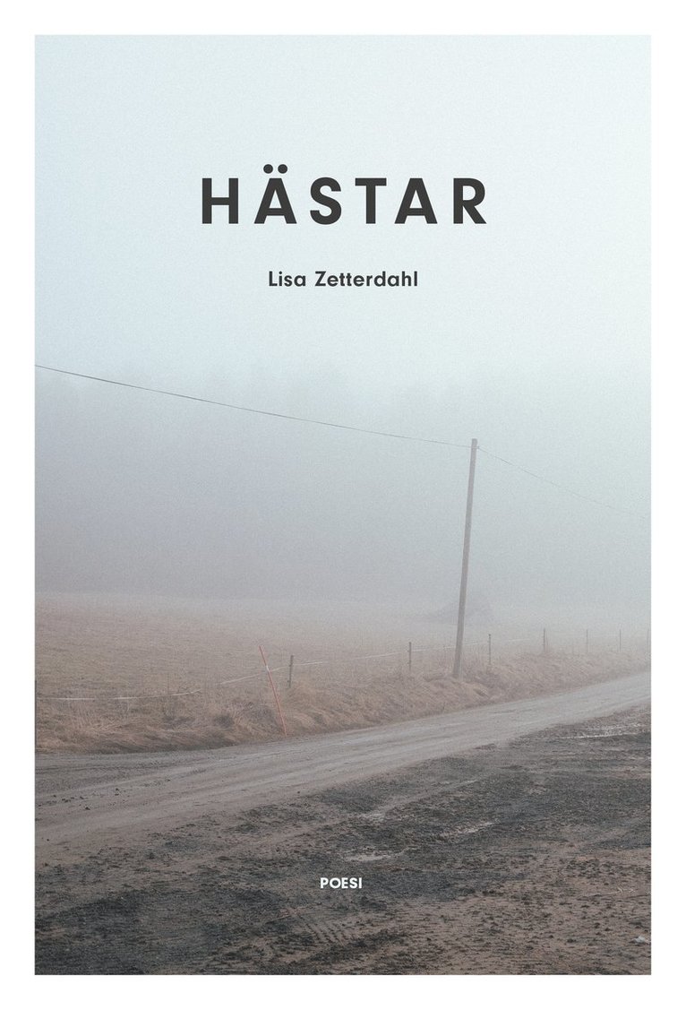 Hästar