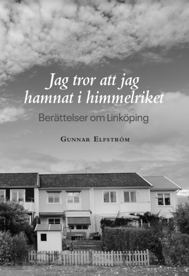 bokomslag Jag tror att jag hamnat i himmelriket - berättelser om Linköping