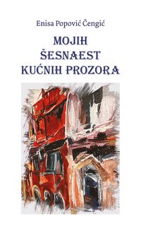 bokomslag Mojih ?esnaest ku?nih prozora