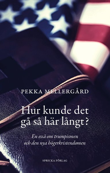 Pekka Mellergård - Hur kunde det gå så här långt? : en essä om trumpismen och den nya högerkristendomen, Häftad