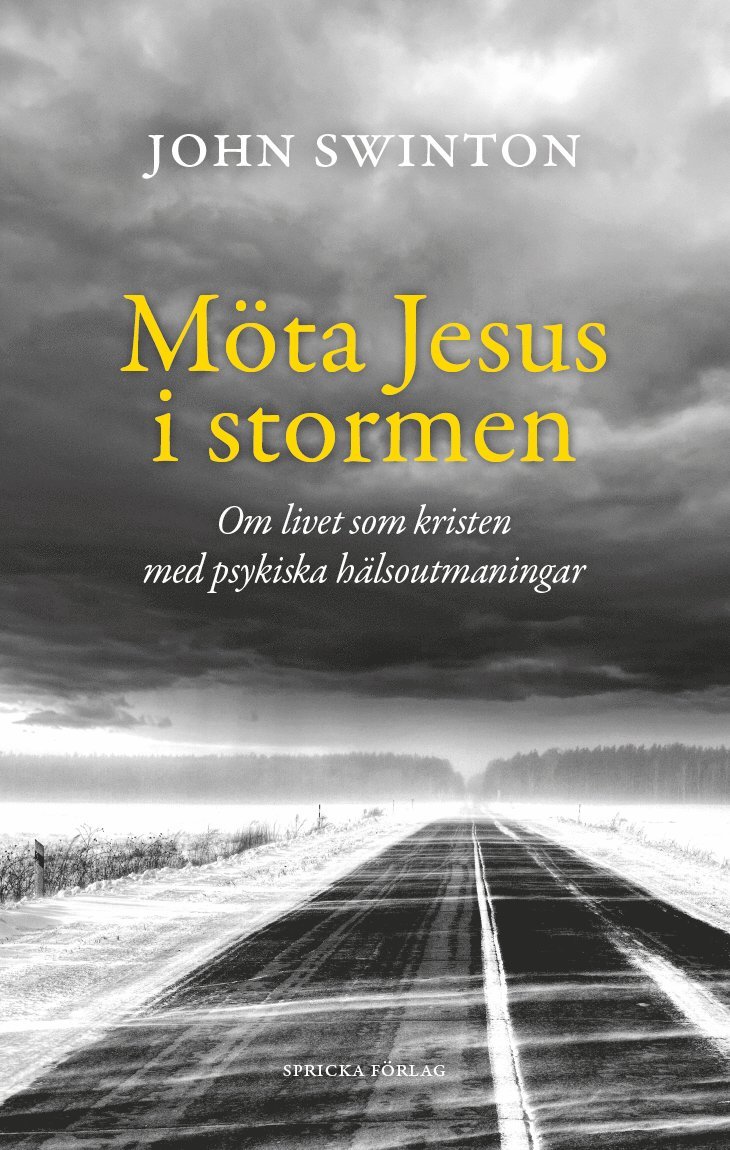 John Swinton - Möta Jesus i stormen : om livet som kristen med psykiska hälsoutmaningar, Häftad
