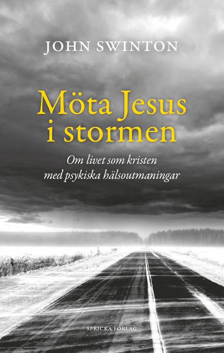 Möta Jesus i stormen : om livet som kristen med psykiska hälsoutmaningar 1