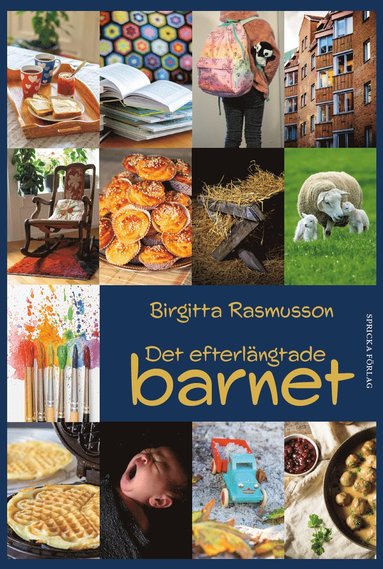 bokomslag Det efterlängtade barnet